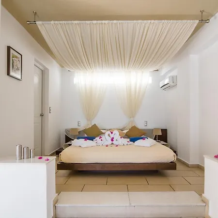 Antinea & Hotel 4*