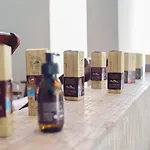 Antinea &